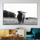 Black and White Highland Cow Wall Art Canvas Print | Rustic