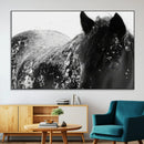Black Horse in Snow Canvas Print | Winter Horse Wall Art |