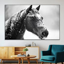 Horse Canvas Print - Winter Horse Snow Wall Art Canvas Print