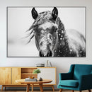 Western Wall Art | Black and White Winter Horse Wall Art | by MyGreatCanvas | Canvas Wall Art Prints | Photo Prints & Wall Decor