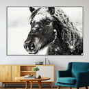 Framed Black and White Horse Wall Art | Ready to Hang and by MyGreatCanvas | Canvas Wall Art Prints | Photo Prints & Wall Decor