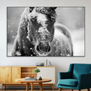Black and White Horse Winter Wall Art | Ready to Hang and