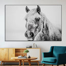 White Horse Wall Art | Ready to Hang and Framed | Winter
