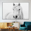 Majestic White Horse Wall Art | Ready to Hang and Framed |