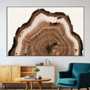 Rustic Wood Rings Wall Art | Nature-Inspired Tree Ring