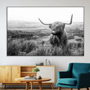 Scottish Highland Cow Wall Art | Black and White Canvas