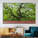Framed Angel Oak Tree Wall Art - 3-Panel Canvas Prints,