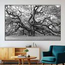 Black White Angel Oak Tree Wall Art - Timeless