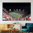 Houston Cougars Football Team Print - Houston TDECU Stadium
