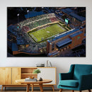 University of North Texas Mean Green Football Artwork,