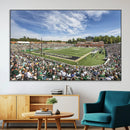 University of Charlotte 49ers Football Team Print - by MyGreatCanvas | Canvas Wall Art Prints | Photo Prints & Wall Decor