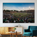University of Charlotte 49ers Football Team Print - by MyGreatCanvas | Canvas Wall Art Prints | Photo Prints & Wall Decor