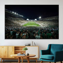 Framed Michigan State Spartans Football Team Print - East