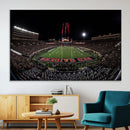 Framed Texas Tech Red Raiders Stadium Canvas, Texas Tech Red