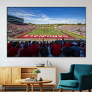 Ball State Cardinals Football Team Print - Muncie Scheumann