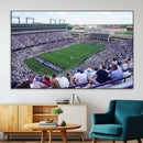 The Texas Christian University TCU Horned Frogs Football