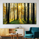 Sunlit Forest Wall Art Canvas Print – Large Framed Woodland
