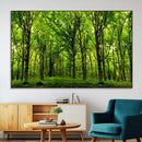 Lush Green Forest Canvas Print | 3-Panel Forest Wall Art | by MyGreatCanvas | Canvas Wall Art Prints | Photo Prints & Wall Decor
