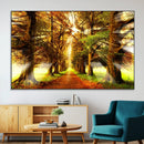 Sunshine in Forest and Trees Wall Art Canvas Print by MyGreatCanvas | Canvas Wall Art Prints | Photo Prints & Wall Decor