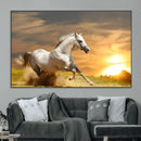 Large Wall Art Galloping White Horse at Sunset Canvas Print