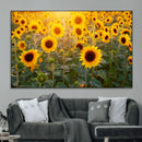 Sunflower Sunshine Wall Art Canvas Print by MyGreatCanvas | Canvas Wall Art Prints | Photo Prints & Wall Decor