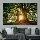 Majestic Ancient Tree Wall Art, NatureCanvas Print, Woodland by MyGreatCanvas | Canvas Wall Art Prints | Photo Prints & Wall Decor