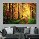 Sunlight Through Trees Wall Art Canvas Print - Autumn Forest