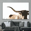 Texas Longhorn Wall Art Canvas Print | 3-Panel Large