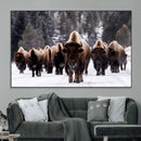 Bison Wall Art Canvas Print- Bison Herd Canvas Wall Art –
