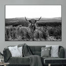 Black and White Highland Cow Canvas Wall Art, Longhorn by MyGreatCanvas | Canvas Wall Art Prints | Photo Prints & Wall Decor
