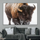 Bison Wall Art Canvas Print For Farmhouse, Wild Animal Wall by MyGreatCanvas | Canvas Wall Art Prints | Photo Prints & Wall Decor