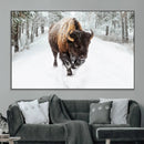 Bison Wall Art Canvas Print For Farmhouse, Animal Canvas