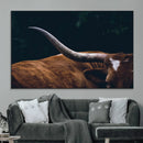 Texas Longhorn Bull Wall Art Canvas Print - Large Framed