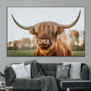 Highland Cow Animal Scottish Cattle Art Print Farmhouse Wall