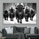 American Bison Art | Buffalo Herd Wall Art Canvas Print, BW