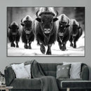 American Bison Art | Buffalo Herd Wall Art Canvas Print, BW by MyGreatCanvas | Canvas Wall Art Prints | Photo Prints & Wall Decor