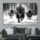 Buffalo Wall Art Canvas Print, Bison Family Wall Art Canvas by MyGreatCanvas | Canvas Wall Art Prints | Photo Prints & Wall Decor