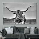 Texas Longhorn Cow Wall Art, Texas Longhorn Canvas, Cattle