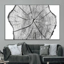 Rustic Tree Ring Wall Art Canvas Print – Framed and Ready to
