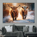 Scottish Highland Cow Horn Farm Wall Art Canvas Print