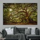 Ancient Angel Oak Tree Art Sunburst Canvas Print-
