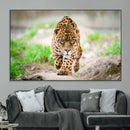 Leopard on the Prowl - Stunning Large Framed Leopard Wall