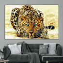 Blue-Eyed Leopard Canvas Wall Art - Framed Animal Print