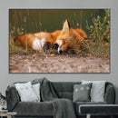 Sleeping Fox Wall Art Canvas Print, Farmhouse Wall Decor and