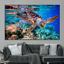 Underwater Coral Reef Sea Turtle Wall Art Canvas Print,