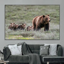 Wildlife Photography of 399 Grizzly Bear Cubs | Queen of the