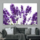 Lavender Flower Wall Art Canvas Print by MyGreatCanvas | Canvas Wall Art Prints | Photo Prints & Wall Decor