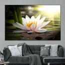 Lotus Flower Wall Art Canvas Print, Water Lily Large Wall