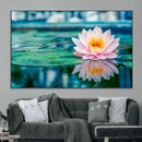 Lotus Flower Wall Art Canvas Print, Water Lily Large Wall