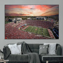 Indiana Memorial Stadium Wall Art Canvas Print, Framed